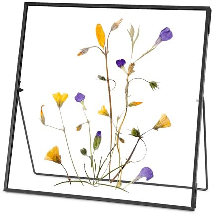 REDHUGO Cadre en verre pour fleurs pressées fait à la main, double cadre en verre, cadre de table, cadre photo simple en métal géométrique flottant en verre, carré, noir, 25,4 x 25,4 cm