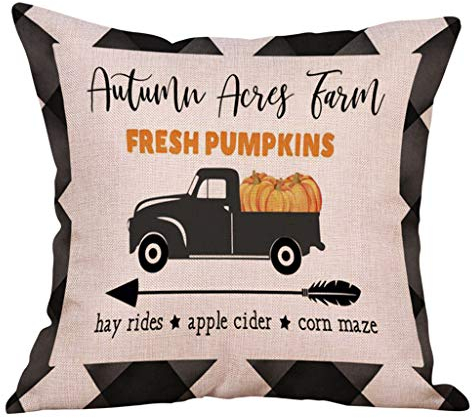 Xmiral Kissenbezug Unisex Kürbis & Auto Drucken Kissenhüllen Quadrat Pillowcase Kopfkissenbezug 45cm×45cm(F)