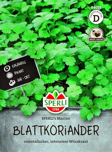 Sperli Blattkoriandersamen SPERLI's Marino 84073, Gemüsesaat | Aromatische Koriander Samen für asiatische Küche, für Freiland & Balkon, einjährig