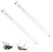 LZD 2 Pack T8 F10W Tubo de Repuesto para lampara antimosquitos, Bombilla UV de 34.5cm para Lámpara Matamoscas Electrico de 20 W