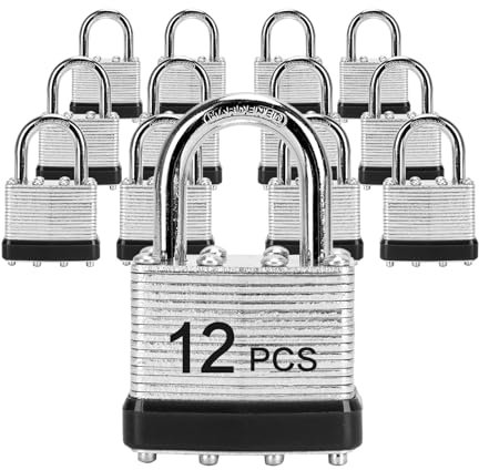LQYN Vorhängeschlösser mit gleichem Schlüssel, laminiertes Vorhängeschloss (40 mm), gleichschließend, normaler Bügel, für Aufbewahrungsspind, Haspenriegel, Werkzeugkasten, Schuppen, 12 Stück