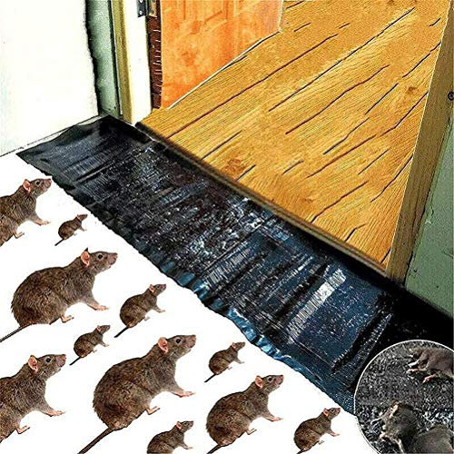 Trappole Adesive Potenti per Ratti – Pannelli Super Appiccicosi per Catturare Topi e Roditori – Trappole Piatte Monouso per Interni in Casa, Garage o (nero)