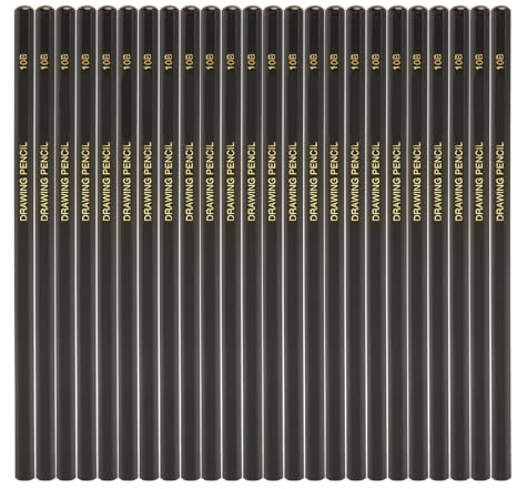 TOPINCN 24 PCs Graphit Sketch Pencil Set, Professionelle Zeichnungsstifte Hexagonale Graphitkohle für Anfänger und Künstler von Studenten, Kunststifte Zum Zeichnen und Schattieren (10b)