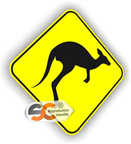 Sticker Kangourou Australien Autocollant Surfing Australie