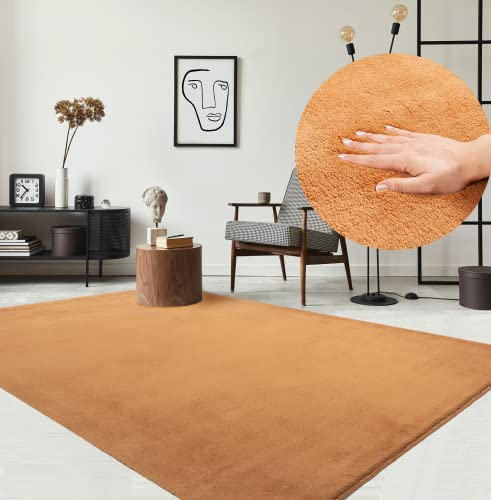 the carpet Relax kuscheliger Kurzflor Teppich, Anti-Rutsch Unterseite, Waschbar bis 30 Grad, Super Soft, Felloptik, Terra, 160 x 220 cm