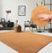 the carpet Relax kuscheliger Kurzflor Teppich, Anti-Rutsch Unterseite, Waschbar bis 30 Grad, Super Soft, Felloptik, Terra, 160 x 220 cm