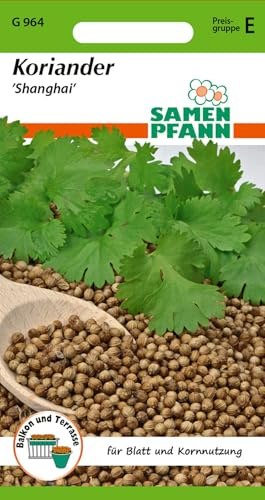 SAMEN PFANN® Koriander, Shanghai - Kräuter-Samen Gewürz Saatgut Samen (Coriandrum sativum)