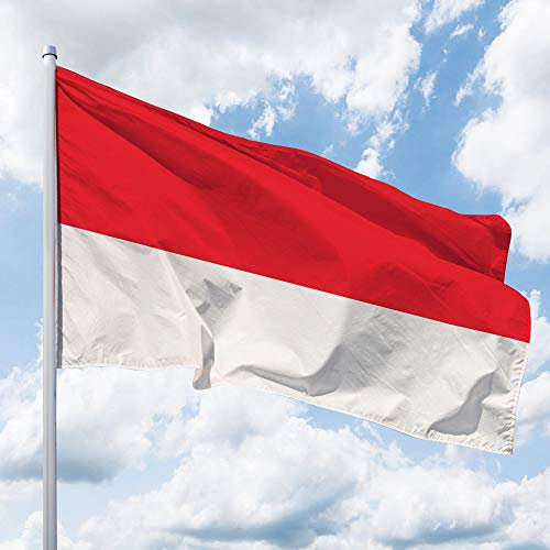 Deitert Bundesland-Flagge Hessen – 250x150 cm Hessen Fahne ohne Wappen, Hissfahne aus reißfestem Polyester
