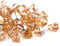 Chilli Cosmos Feuerglas Diamant 2,5 cm Feuerstelle Glassteine für Propan oder Gasfeuerstelle (4,5 kg, Rosa Champagner) Geschenkpaket