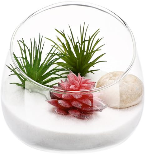 Angoily 1stk Blumenvase Herzstück Glas Terrarium Saftiger Blumenbehälter Ökologische Flasche Klare, Schräg Geschnittene Glasvase Sukkulenten-pflanzgefäß Aus Glas Mach Es Selbst Groß