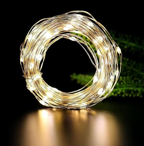 Volunx Fairy Lights String 2 in 1 Lights Battery Operated and USB Powered Remote Control 2m/5m/10m for Wedding Parties Valentine's Day Gift Christmas Decor Christmas New Year (Warm White, 2m 20LED)
