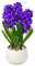 365 Blooming Decor Luxury 16-Inch Artificial Purple Hyacinth Flower - Potted with River Stones, No Assembly Required