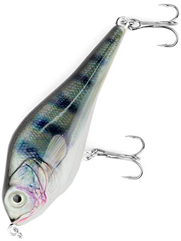 Major Fish Medium Jerk Jerkbait 10 cm Hecht Wobbler Kunstköder zum Hecht Angeln Zander