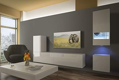 Furnitech Colmar N18 1A Modernes Wohnzimmer Wohnwände Wohnschränke Schrankwand Schwarz Weiß Hochglänzend (LED blau, AN18-18W-HG2 1B)