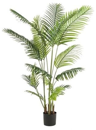 Palma artificiale Howea Forsteriana – 160 cm – Palma Kentia realistica – Senza cura – Ipoallergenica – per soggiorno, ufficio e giardino d'inverno – Decorazione tropicale