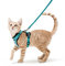 rabbitgoo Katzengeschirr mit Leine Softgeschirr für Katze Brustgeschirr Cat Harness Katzengarnitur ausbruchsicher verstellbar Katzenweste Grün XS