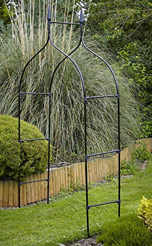 RUDDINGS WOOD Garden Metal Arch Rose Entrance Arbour Archway Black Gothic Style Archway