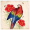 Exotische Papageien III Poster von Mandy Reinmuth 20 x 20 cm Bunt Wandbilder Wanddeko