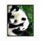 YISUMEI - 150 x 200 cm Decke - Personalisierter Großer Panda Fleecedecke,Kaschmir-Gefühl Kuscheldecke Geeignet für Bett oder Sofa