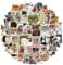 50pcs Cute Cat Stickers, Funny Meme Cats Decals Sticker Pack for Cat Lovers, Waterproof Vinyl Aesthetic Stickers for Kindle Water Bottles Skateboard Guitar Scrapbook Luggage (Casual)