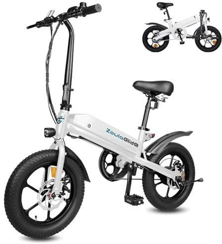 ZoulaGlide E-Bike Klapprad, 16x3 Zoll Breitreifen Elektrofahrrad | Abnehmbarem Akku, 45km Reichweite, Verstellbarer Sitz, LCD Display, Cityrad für Herren Damen Pendeln