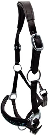 Tysons Breeches Halfter Nubuk Leder Nele Schwarz o Braun Hellblau Türkis Glitzer Minishetty Shetty Minipony (Shetty, Braun)