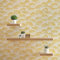 WTD 3871 Papier peint intissé Motif jungle Matilde M1-No.3871 Doré