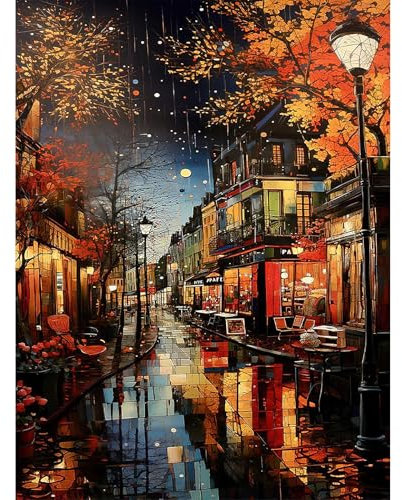 HEIBAGO Paint by Numbers for Adults Night Street, Street Scenery DIY Paint by Numbers Drawing with Paint Brushes, Oil Painting Kits on Canvas, Paint by Numbers Kit Art Crafts,30x40cm