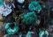 Forwall Fototapete Blumen Retro türkis Pfingstrosen Vintage Dunkel Wohnzimmer Schlafzimmer Vlies Tapete Wandtapete UV-Beständig Hohe Auflösung Montagefertig (13532, VEXXXXL (416x290 cm) 4 Bahnen)