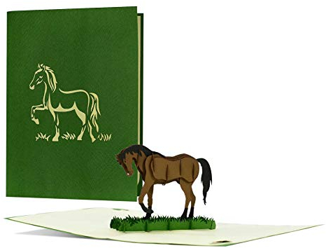 Edle Geburtstagskarte mit 3D Pop-up Pferd|Gutschein oder Geschenk für Reiter und Pferdeliebhaber|Geschenkgutschein ideal für Frauen und für Mädchen|F20