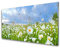 Tulup Glasbilder 100x50cm - Wandbild Druck auf Glas XXL Panorama-Bild Wandbilder aus Echt-Glas Sicherheitsglas Kunstdruck für Küche Wohnzimmer Wiese Gänseblümchen Natur