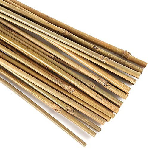 OULVLIFE Pieux de Jardin en Bambou Naturel pour Plantes de Jardinage d'intérieur, Lot de 20 (20)