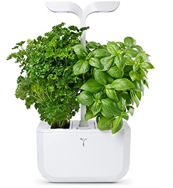 Véritable Exky® CLASSIC Orto da interno (bianco) - Prodotto in Francia - Giardino intelligente compatto e autonomo - Fornito con 2 Lingots®