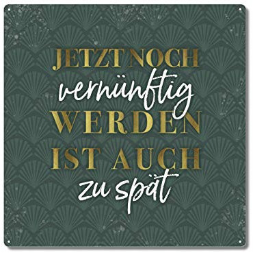 Interluxe Metallschild 20x20cm - Jetzt noch vernünftig Werden ist auch zu spät - Schild mit lustigem Spruch für Geburtstag