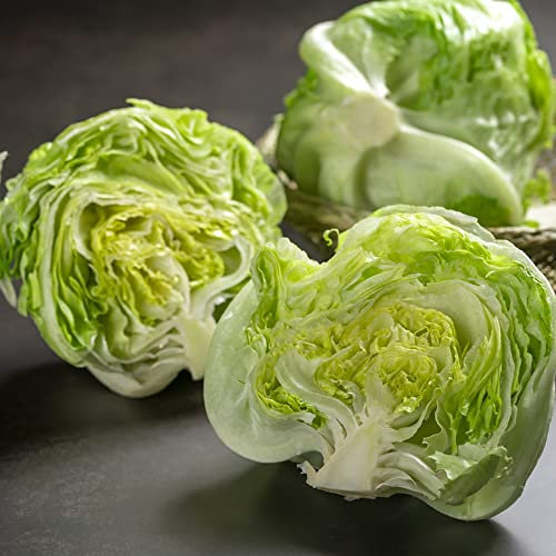 Semi Di Lattuga Invernale Lattuga Iceberg Piante Vegetali Di Agnello Copertura Del Suolo Resistente Serra Perenne Piante Di Lattuga Da Balcone Semi Di Lattuga Regalo Da Giardino 100 Semi Lattuga