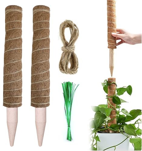 Palo Totem in Fibra di Cocco, Sostegno Monstera, Palo per Piante Rampicanti, Bastone per Piante, Fornisce Supporto per Una Varietà di Piante, 2 Pezzi, 30cm, con Spago e Legami Vegetali