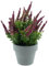 mucplants Kunstblume getopfte Erika Calluna im grauen Topf, künstliches Heidekraut, 13x19cm, Herbstblume, Kunstpflanze (Fuchsia)