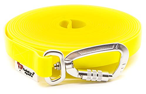 Twinkys Dog Style Hundeleine Schleppleine Wasserabweisend 20 mm breit mit Sicherheitskarabiner für Hunde 5 Meter MIT Handschlaufe Neon Gelb Made in Germany