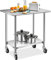 RELAX4LIFE Tavolo da Lavoro per Cucina, Tavolo da Giardino con Ruote, in Acciaio Inossidabile, Tavolino da Lavoro per Officina, Tavolo a Doppio Strato con Piedini Regolabili, 91,5x61x88,5 cm