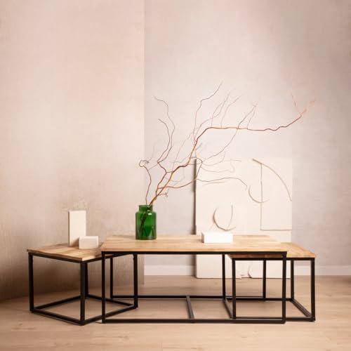 HOMLA Maya Tisch Kaffeetisch Beistelltisch Couchtisch-Set Mangoholz massiv + Metall 110x60x45cm/50x50x40cm