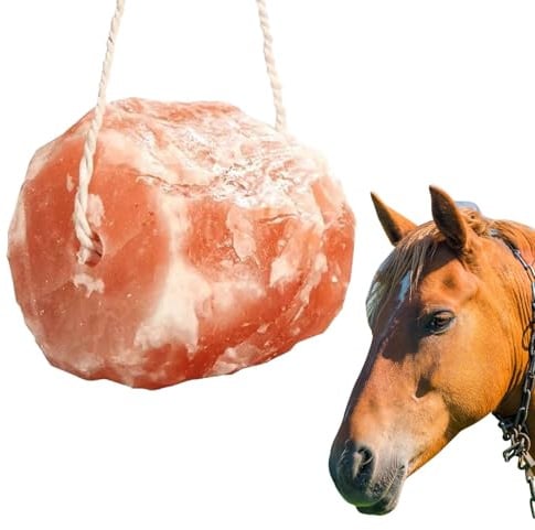 Shyllin Pierre à lécher de sel pour chevaux avec minéraux et oligo-éléments, pierre à lécher sauvage, friandises pour chevaux en 100 % pierre de sel, pierre minérale avec cordon 1700 g - Bovins