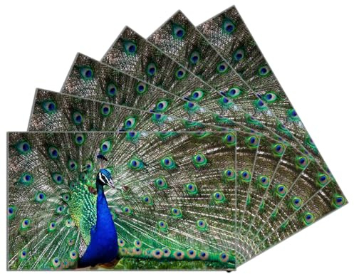 Wallario 6er Set Frühstücksbrettchen aus Glas, Glasunterlage, Glasbrettchen Farbenprächtiger Pfau, Größe 14 x 23 cm, Sicherheitsglas