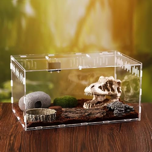 CiCixixi Schnecken Terrarium, 30 x 20 x 15 cm Acryl Terrarium Reptil Fütterungsbox Transparent Mini Terrarium Tragbarer Reptilien-Zuchtbox für Schnecken, Spinnen, Gecko, Chamäleon