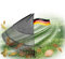 Novatool 2X Laubbesenkopf, Laubbesen mit 30 Kunststoff-Zinken, Rechen Arbeitsbreite 75cm, Laubrechen, Gartenbesen, Rasenrechen, Harke, Gartenharke, Landschaftsbesen, Gartengerät ohne Stiel, Schwarz