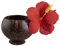 LP Divertissements Lot de 6 - Gobelet Cocktail Noix de Coco avec Paille et Fleur 12x9cm