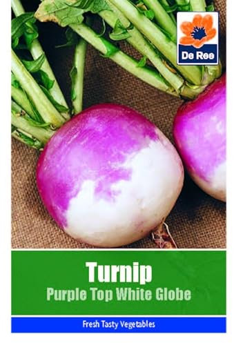 Turnip Purple Top White Globe Seeds - 670 Seeds Vegetable Grow Your Own Garden Salad Herb Vegetable Seed