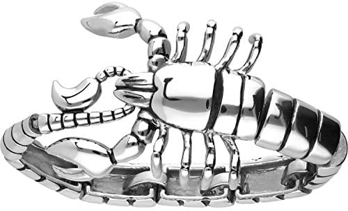 FILANGO Chirurgenstahl Armband SKORPION Ringverschluss Herren Damen Schmuck silberfarben