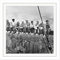 Lunch Atop A Skyscraper New York 1932 Iconic Photo Square Wooden Framed Wall Art Print Picture 16X16 Inch Fotografieren Holz Wand Bild