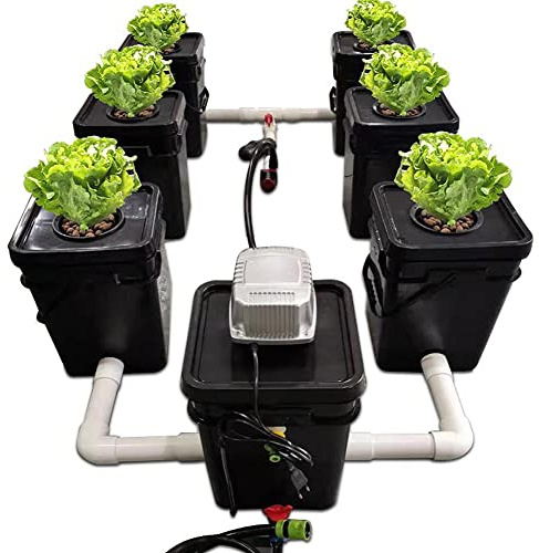 HYQNG Système de Culture hydroponique DWC, Machine hydroponique Multi-tonneaux, 5 gallons 6 seaux Système de Culture hydroponique Kit de Culture à recirculation, pour intérieur et extérieur - Herbe