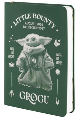 Grupo Erik Hausaufgabenheft Schulplaner 2026 2027 Star Wars The Mandalorian Yoda Taschenkalender Schülerkalender - Schulkalender Wochenplaner - Terminplaner 2026 2027 17 Monate Geschenke Einschulung